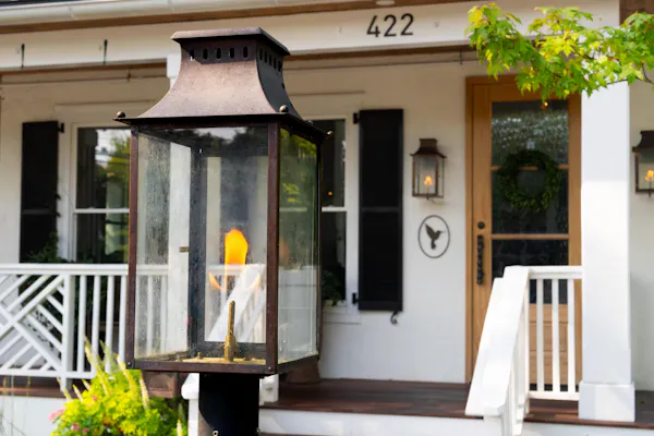 lighting, light fixture, lantern, flowerpot, lamp, houseplant