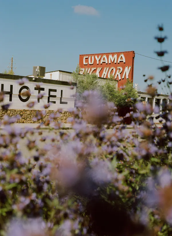 sign, advertising
