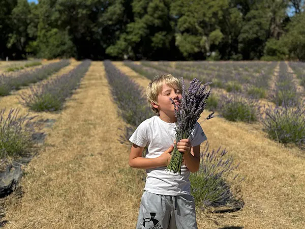 plant, plant community, people in nature, botany, tree, agriculture