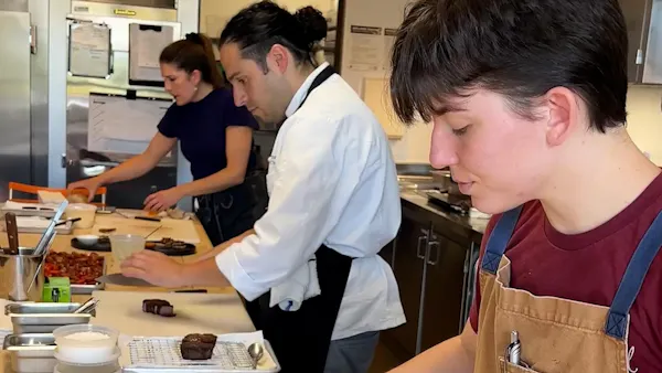 cook, kitchen, chef, countertop, cooking, job