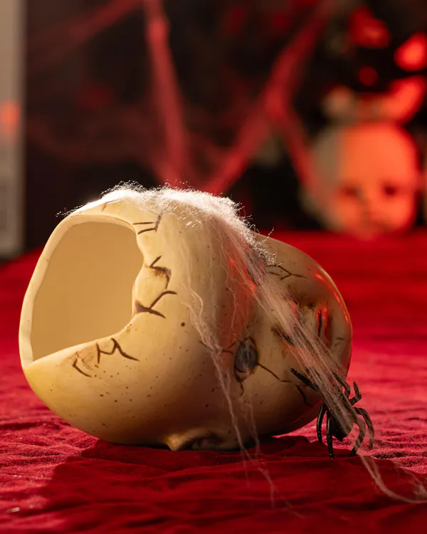 still life photography