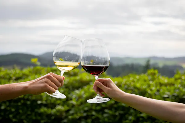 stemware, alcoholic drink, tableware, wine glass, drinkware, wine