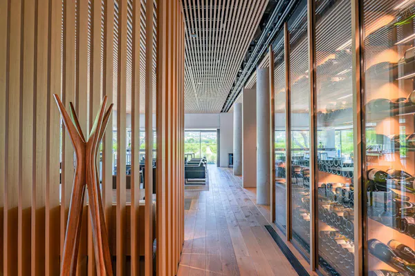 wood, ceiling, wood flooring, hardwood, glass, wood stain