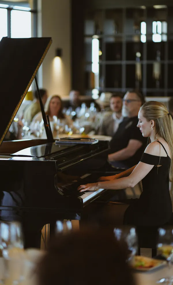 musical instrument, musician, keyboard, performing arts, piano, music
