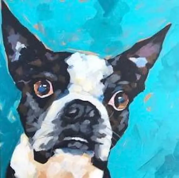 dog, carnivores, painting, snout, boston terrier, canidae