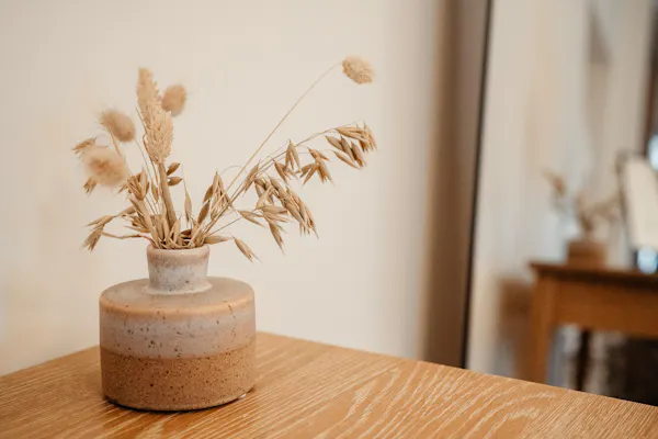 flowerpot, vase, houseplant, hardwood, serveware, natural material