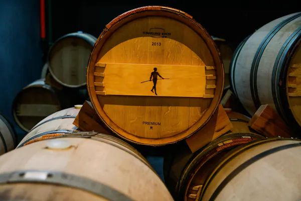 barrel, light, winery, wine cellar, wood, tree