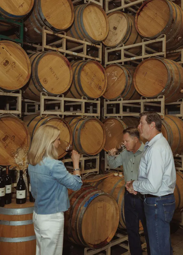 barrel, winery, wine cellar, denim, brewery, inventory