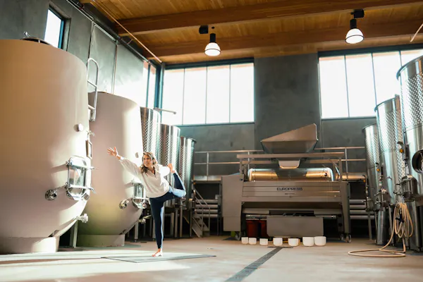 brewery, engineering, factory