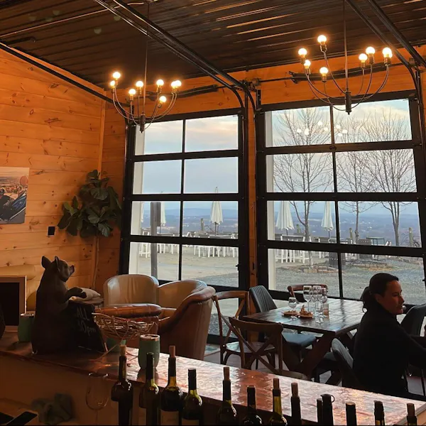 wood, ceiling, glass, restaurant, chair, wood stain