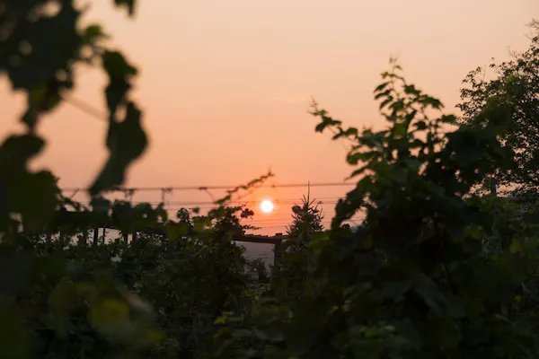 sunset, dusk, afterglow, sunrise, orange, evening