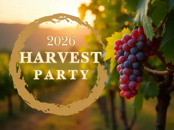 produce, natural foods, fruit, food, grapes, agriculture