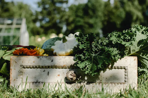 produce, natural foods, food, vegetable, fruit, crate