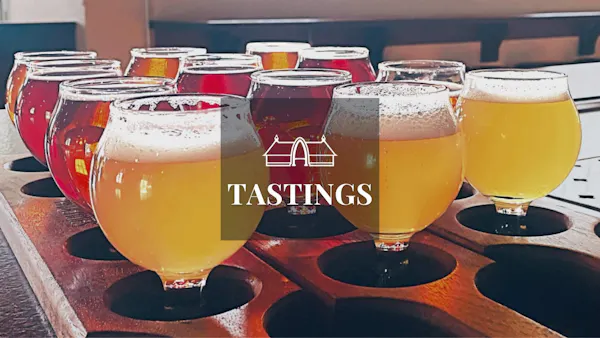 tableware, drinkware, beer, liquid, stemware, barware