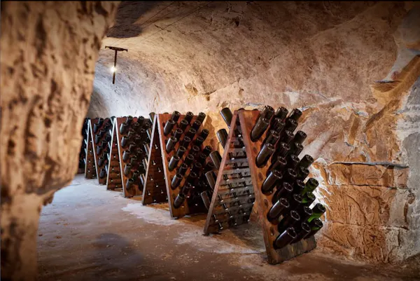 winery, wine cellar, wine rack, bottle