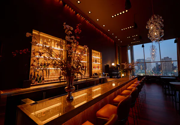 lighting, electricity, bar, drinking establishment, night, light fixture