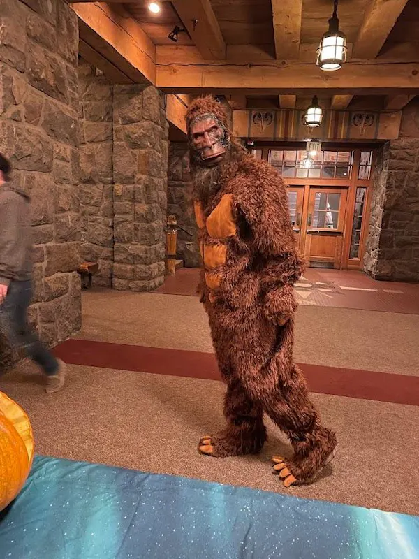 fun, costume, fictional character, fur