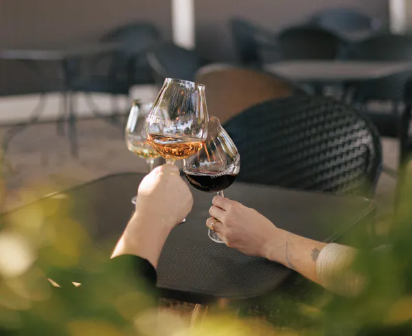 stemware, tableware, drinkware, wine glass, alcoholic drink, barware