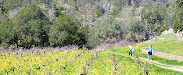plants, grassland, plant community, recreation, agriculture, trail