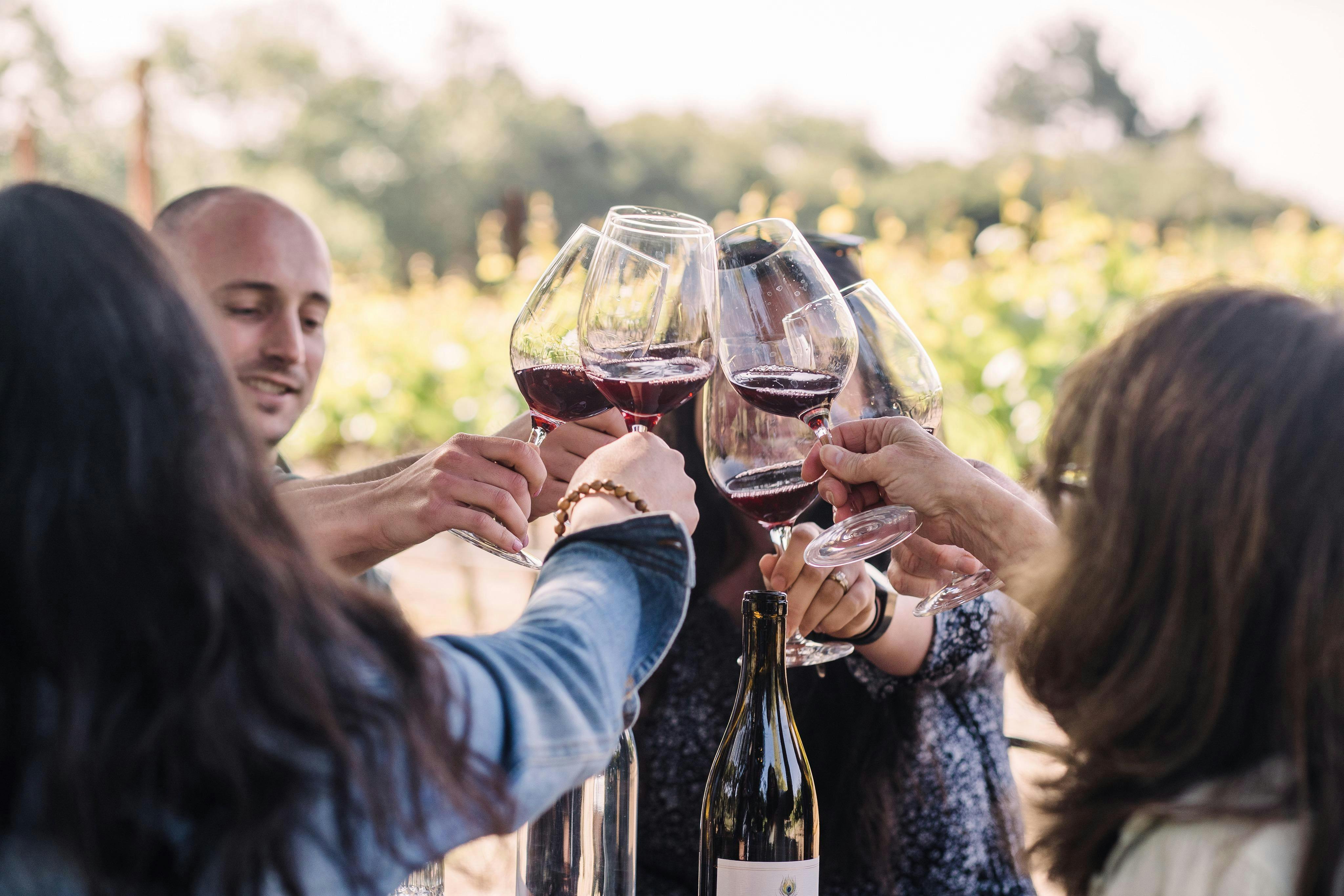 Nicholson Vineyards and Winery