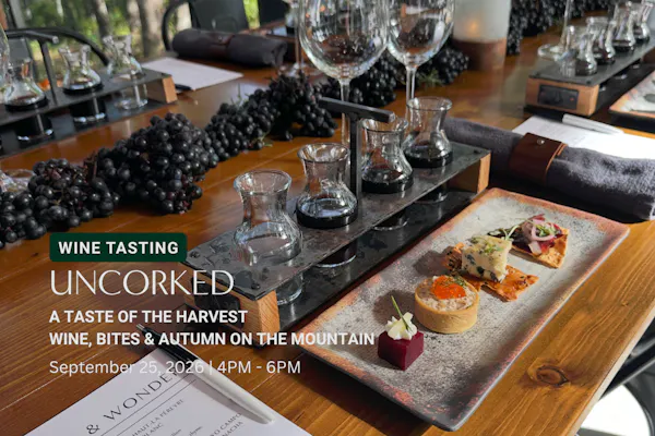 tableware, drinkware, stemware, table, furniture, serveware