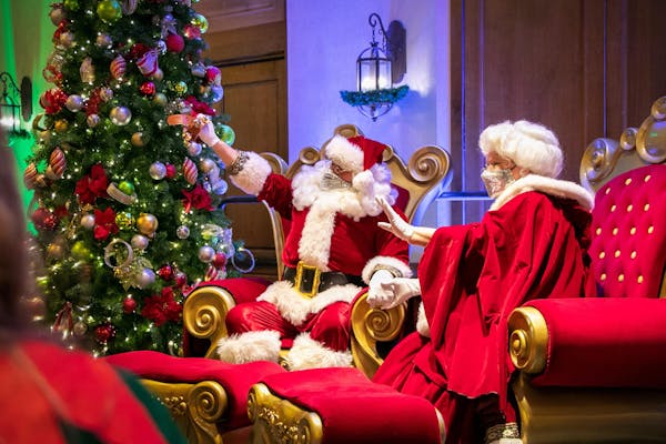 christmas tree, christmas ornament, decoration, lighting, holiday ornament, santa claus