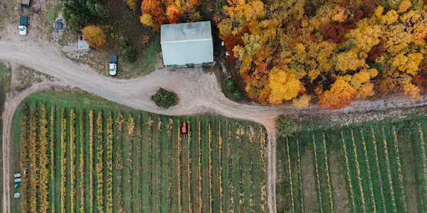 landscape, field, plantation, agriculture, aerial photography, farm
