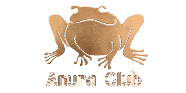 amphibians, frog, true frog, graphics