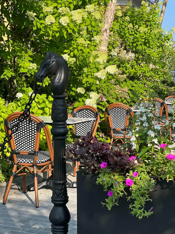 plants, flowerpot, garden, iron, houseplant, floristry