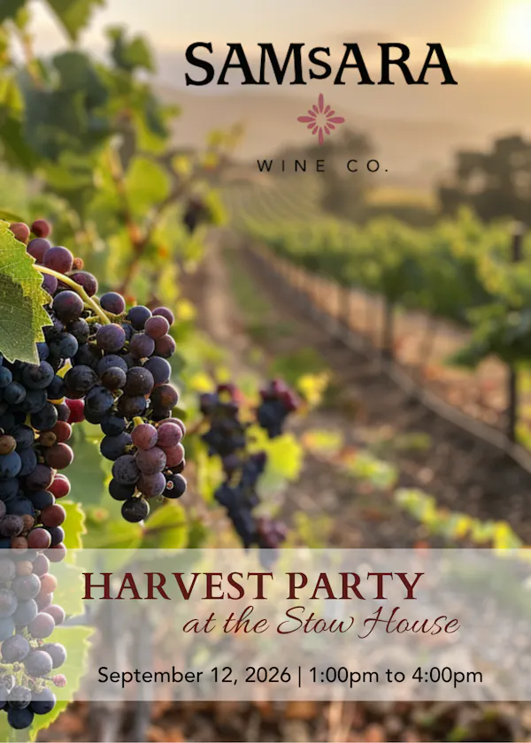 grapes, grapevines
