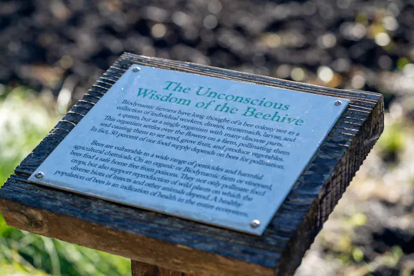 groundcover, commemorative plaque