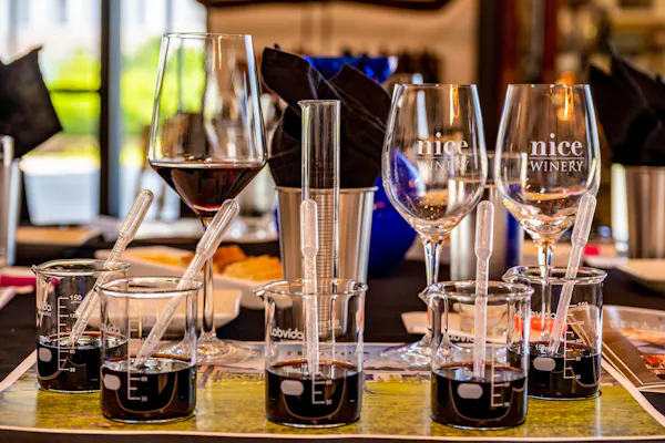 drinkware, tableware, stemware, barware, drink, wine glass