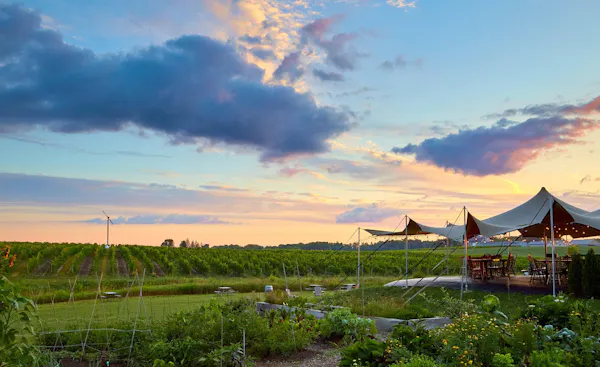 cloud, summer, sunlight, outdoor furniture, shade, field