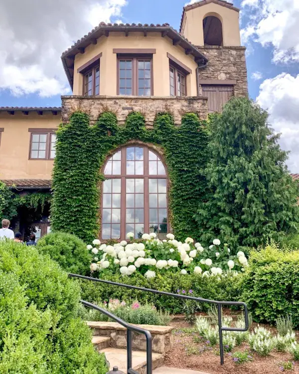 plant, cloud, sky, flower, window, building