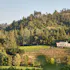 Diamond Creek Vineyards