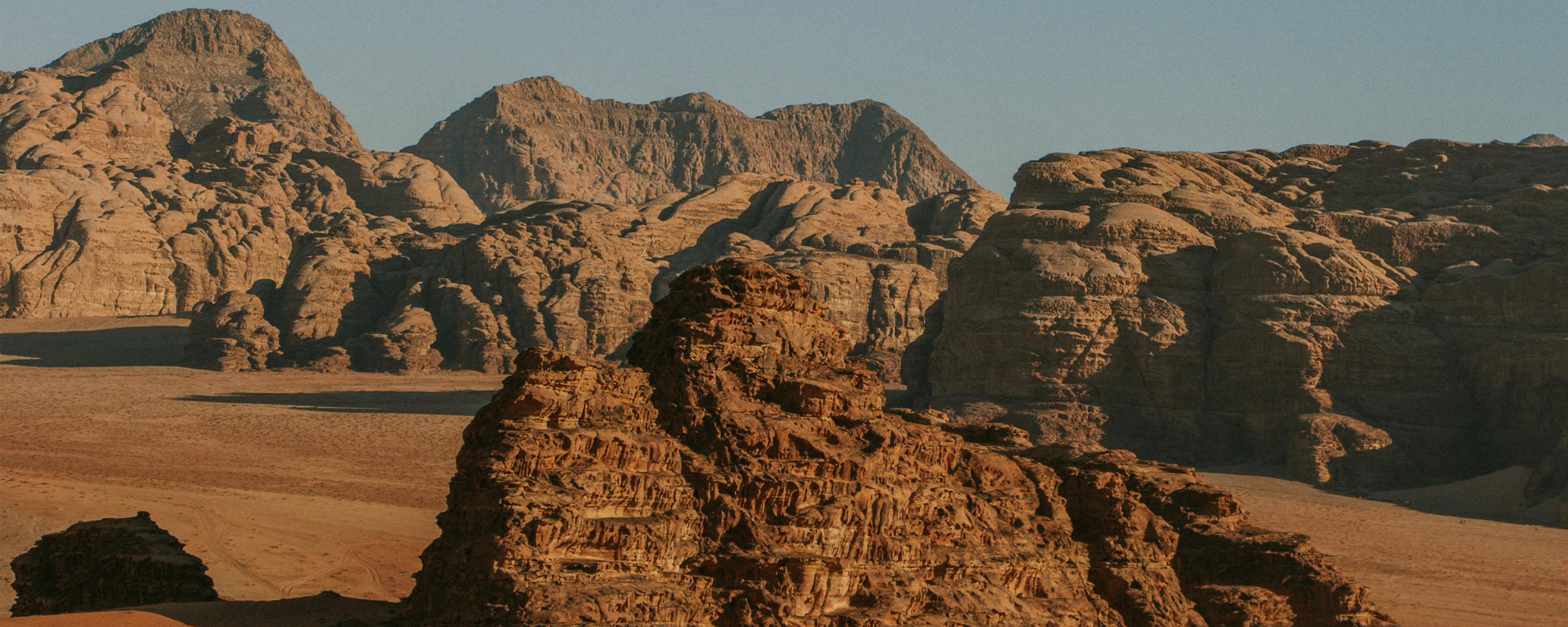 Fares Wadi Rum