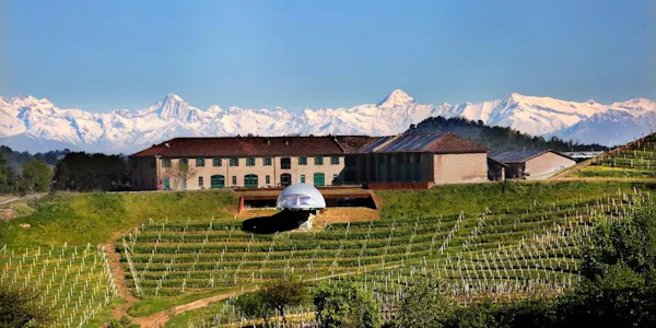 agriculture, plantation, field, farm, vineyard