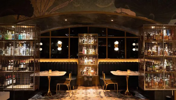 drinking establishment, furniture, building, shelf, barware, shelving