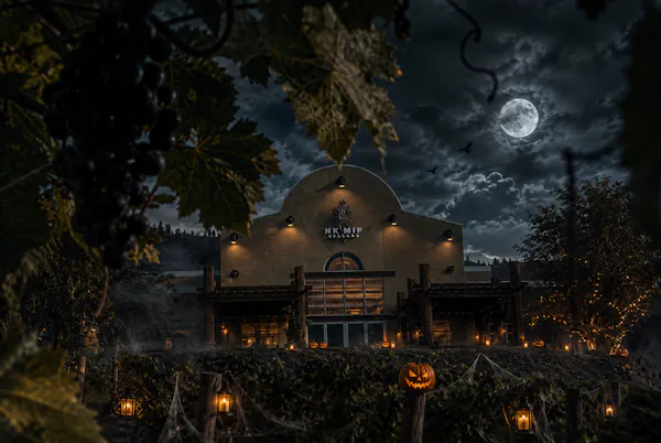 night, darkness, midnight, evening, security lighting
