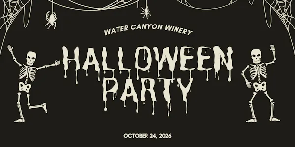 bone, skull, skeleton, night, squash