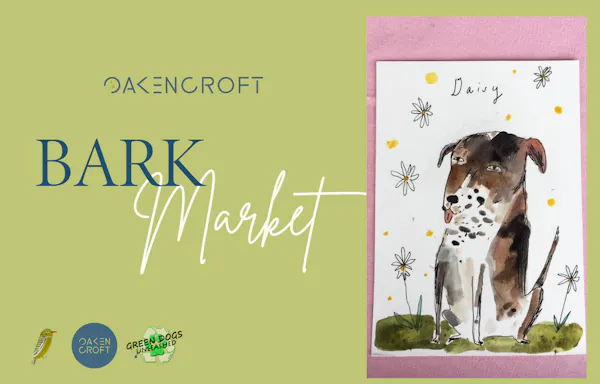 dog, carnivores, paper product, paper, canidae, poster