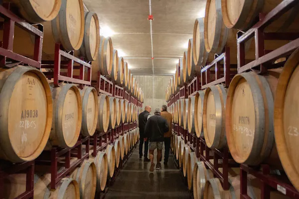 barrel, winery, wine cellar, brewery, inventory, mass production