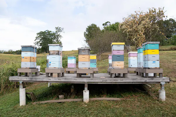 apiary, natural material