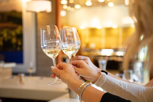 drinkware, tableware, stemware, barware, wine, gesture