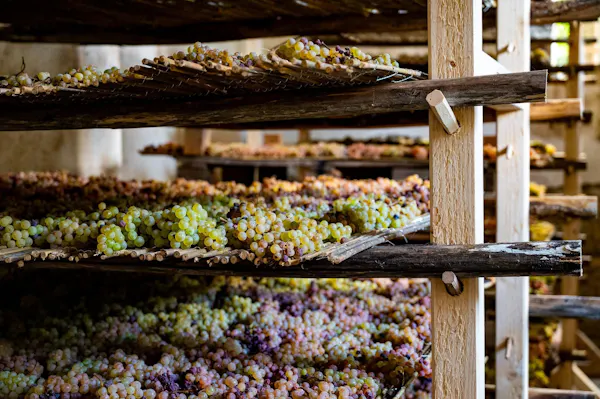produce, natural foods, food, grape, grapes, agriculture