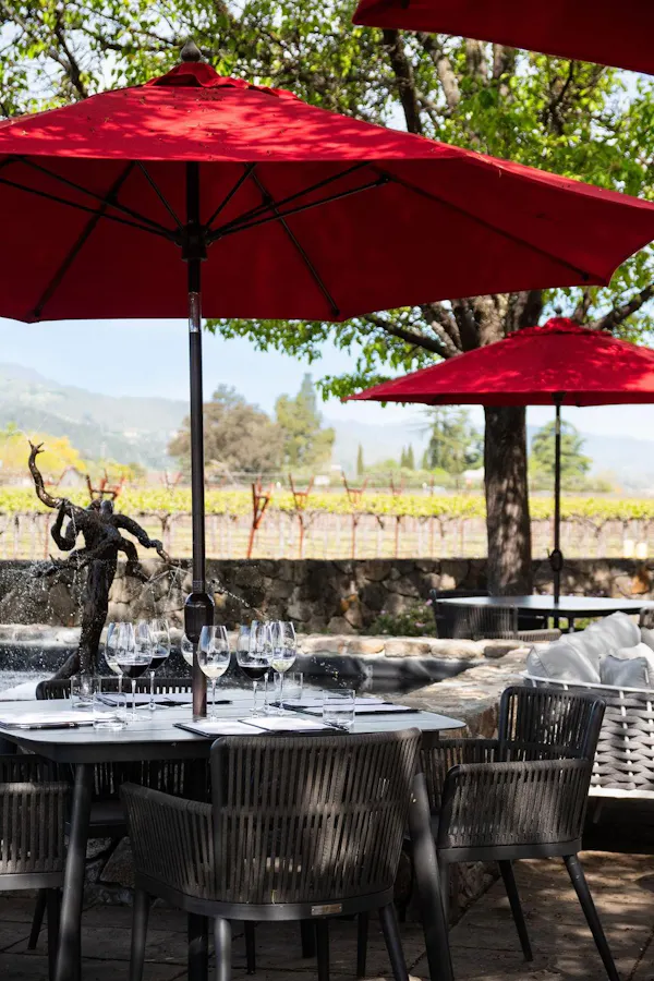 table, furniture, plant, umbrella, shade, outdoor table
