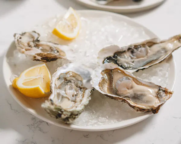 food, tableware, oyster, seafood, citrus, ingredient