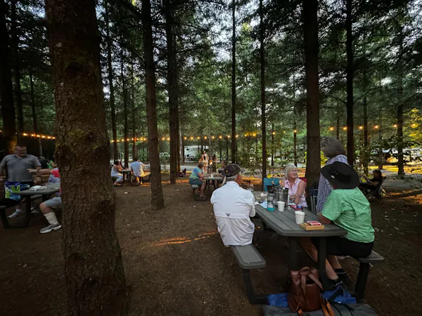 furniture, table, shade, tree, bench, leisure