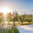 Fisher Vineyards: Calistoga Estate