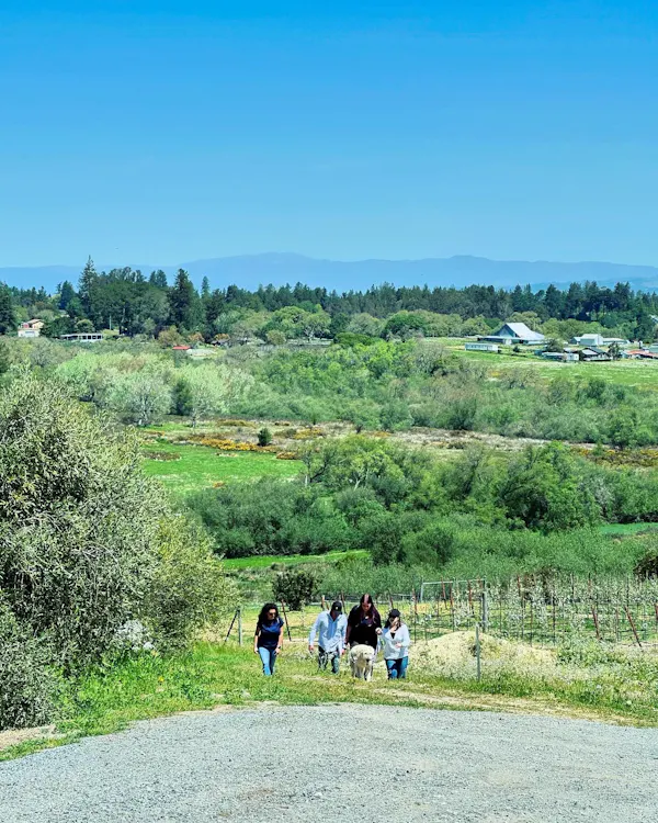plant, sky, natural landscape, land lot, people in nature, tree